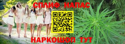 ПСИЛОЦИБИНОВЫЕ ГРИБЫ Малоярославец