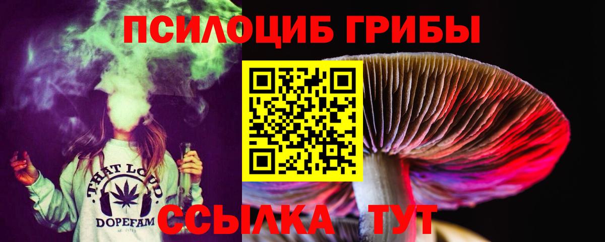 Галлюциногенные грибы MAGIC MUSHROOMS Гудермес