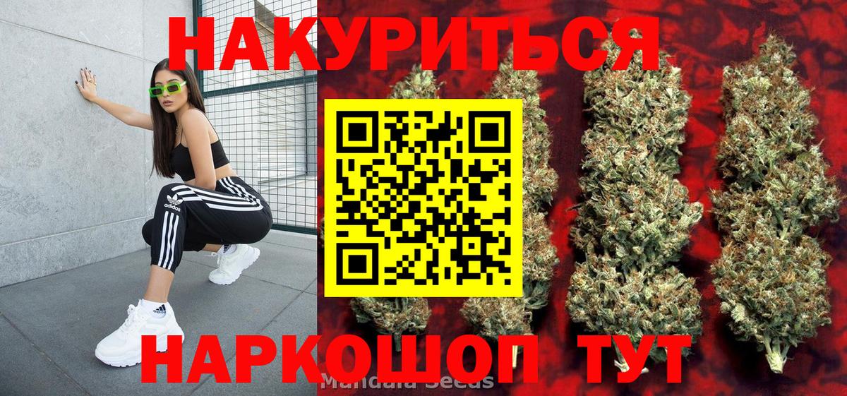 Бошки Шишки планчик Гудермес